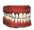 teeth opening and closing
